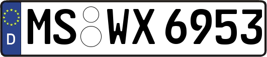 MS-WX6953