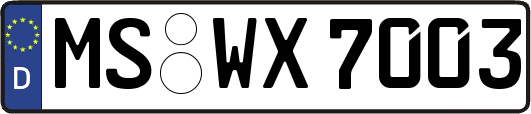 MS-WX7003