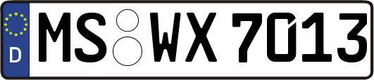 MS-WX7013