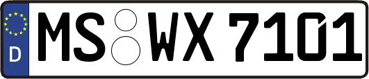 MS-WX7101