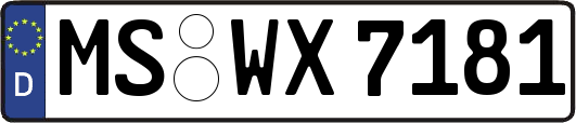 MS-WX7181