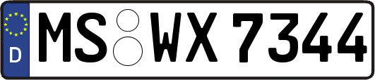 MS-WX7344