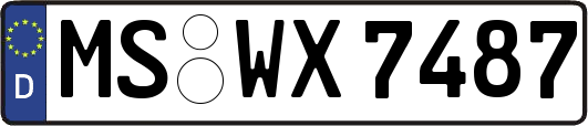 MS-WX7487