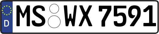 MS-WX7591