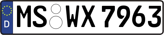 MS-WX7963