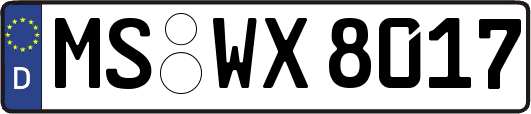 MS-WX8017