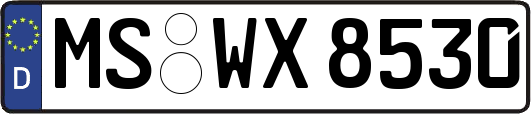 MS-WX8530