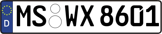 MS-WX8601