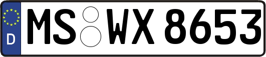 MS-WX8653