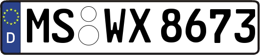 MS-WX8673