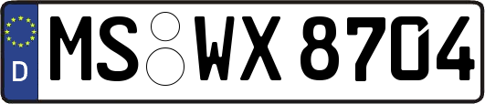 MS-WX8704