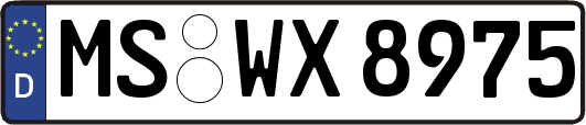 MS-WX8975