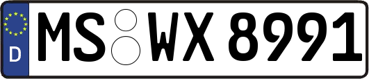 MS-WX8991