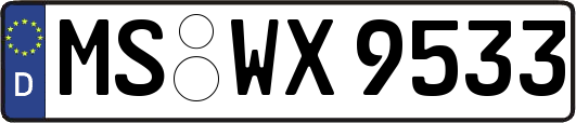 MS-WX9533