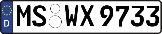 MS-WX9733