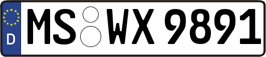 MS-WX9891