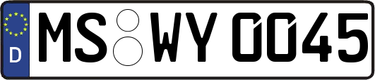 MS-WY0045