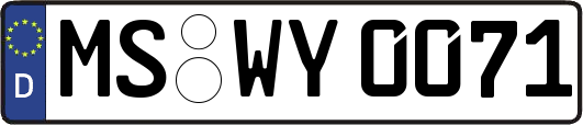 MS-WY0071