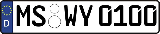 MS-WY0100
