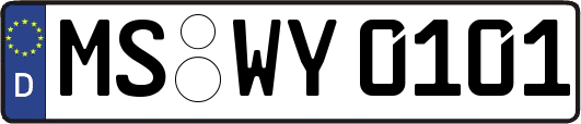 MS-WY0101