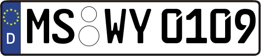 MS-WY0109