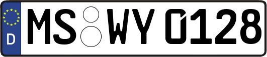 MS-WY0128