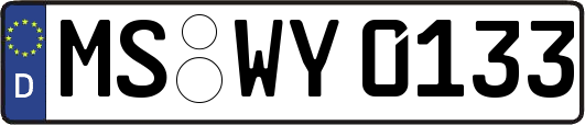 MS-WY0133