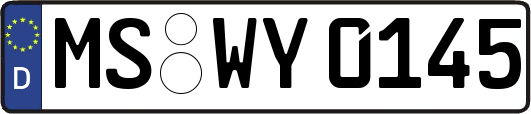 MS-WY0145
