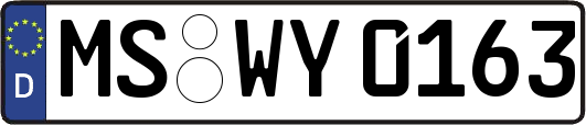 MS-WY0163