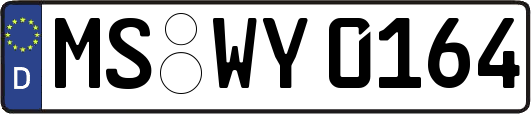 MS-WY0164