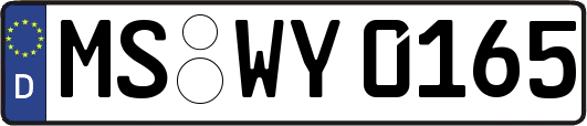 MS-WY0165