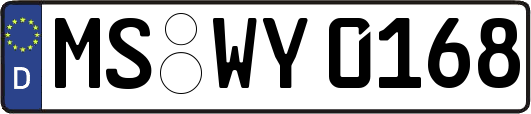 MS-WY0168