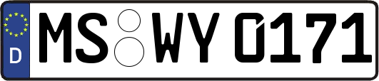 MS-WY0171
