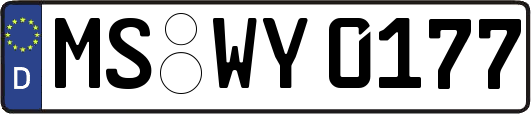 MS-WY0177