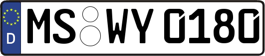 MS-WY0180