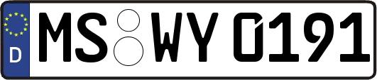 MS-WY0191