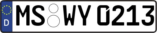 MS-WY0213