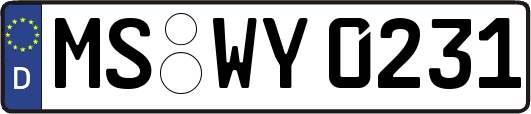 MS-WY0231