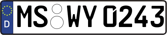 MS-WY0243