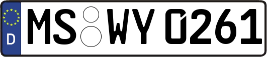 MS-WY0261