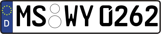 MS-WY0262