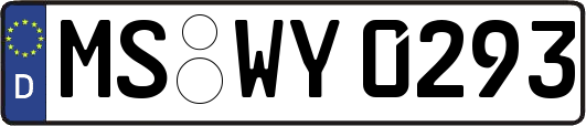 MS-WY0293