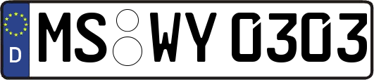 MS-WY0303