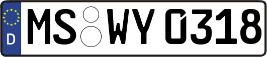 MS-WY0318