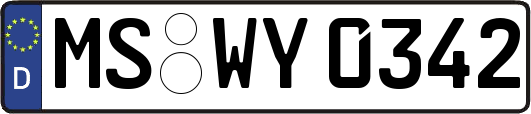 MS-WY0342