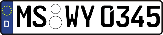 MS-WY0345