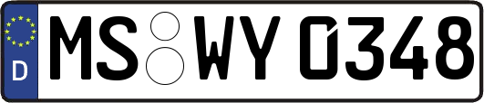 MS-WY0348