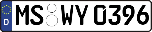 MS-WY0396