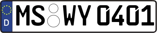 MS-WY0401