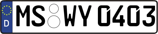 MS-WY0403